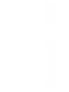 BBB